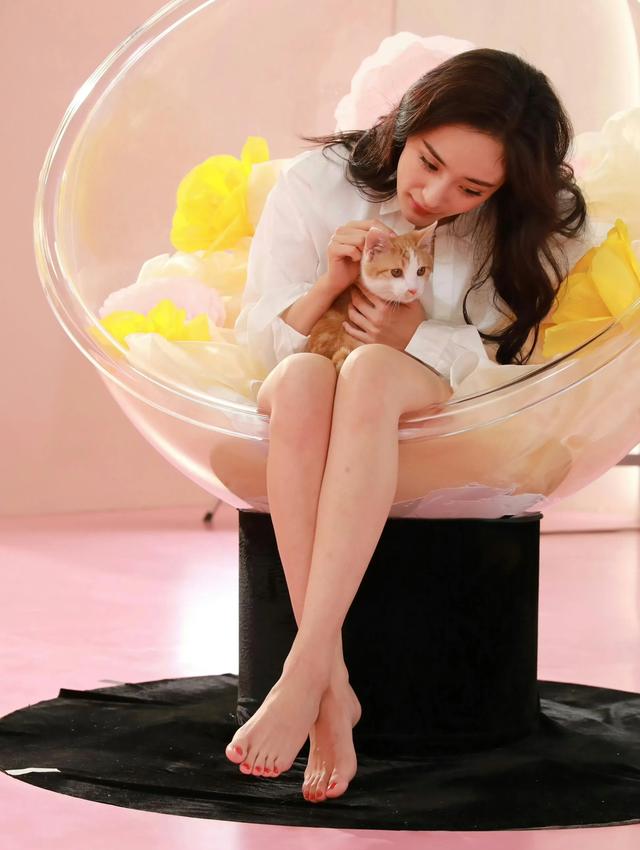 杨幂 裸足美腿 精致迷人