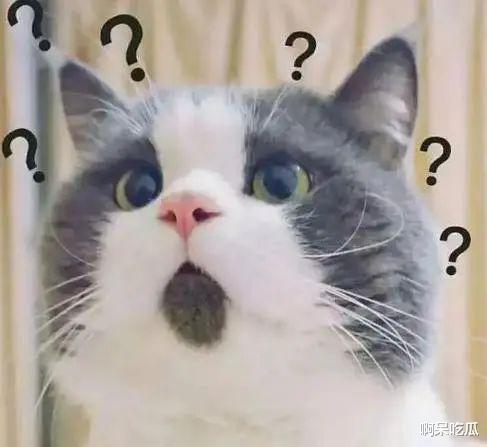 吴宣仪吐槽加班,赵露思狂怼打工人,明星卖惨有多离谱?