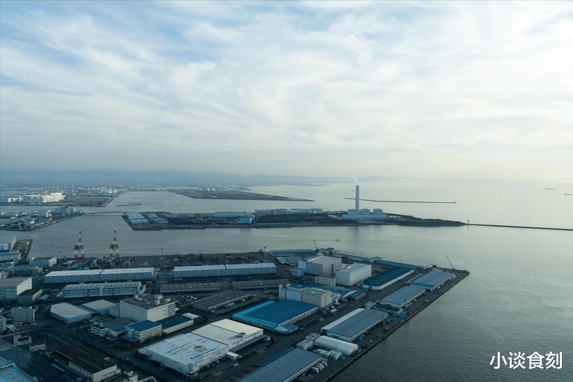 日本第8轮核污排海，建议：5种海鲜尽量少吃，为了家人健康别大意