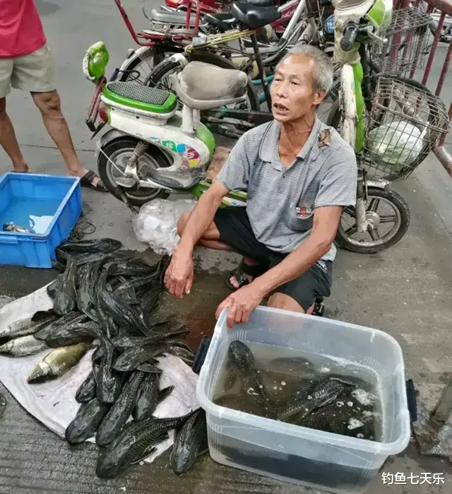 看了很上头!“清道夫”被做成美食,靠“吃”能解决泛滥的难题吗?