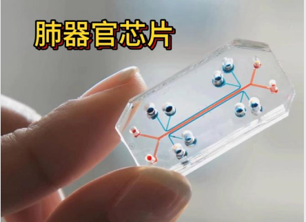 11月5日精选热点:我国首个器官芯片标准发布,这些核心公司受益