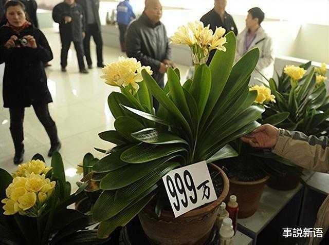 曾风靡全国的“骗局”,被捧上神坛,如今白菜价没人要