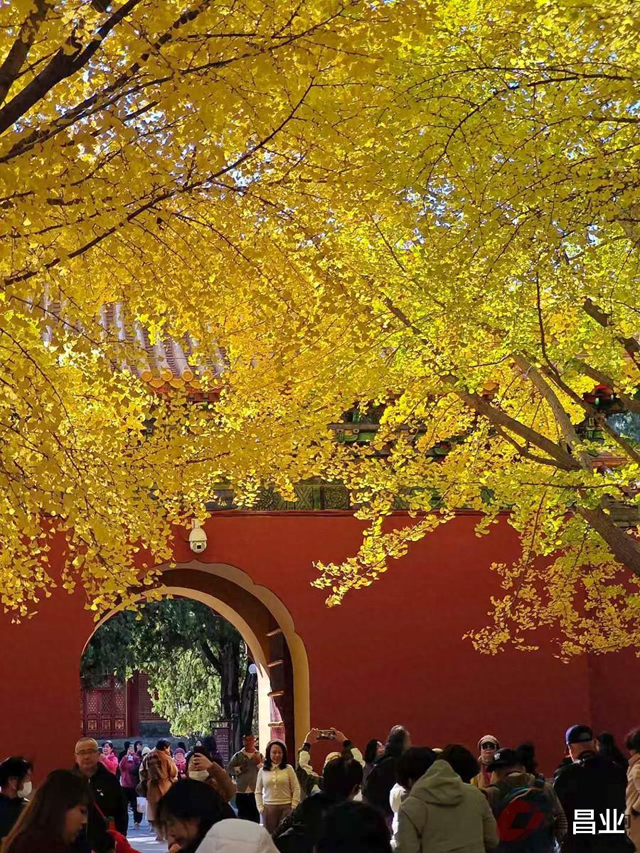 HAVE 2024北京国际高级视听展——昌业音响4套HIFI系统回顾