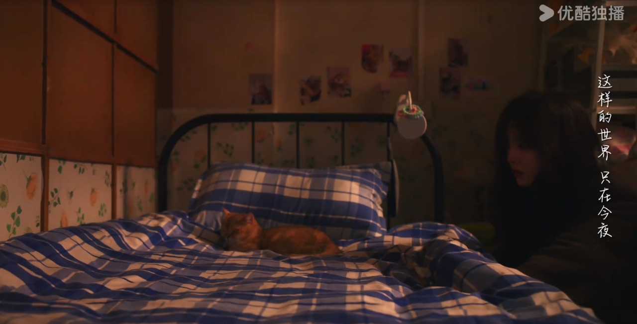 白敬亭新剧《难哄》首播4集，口碑出炉，观众评价一针见血