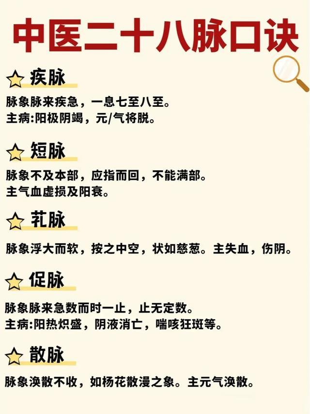 【绝密】速记中医二十八脉象口诀