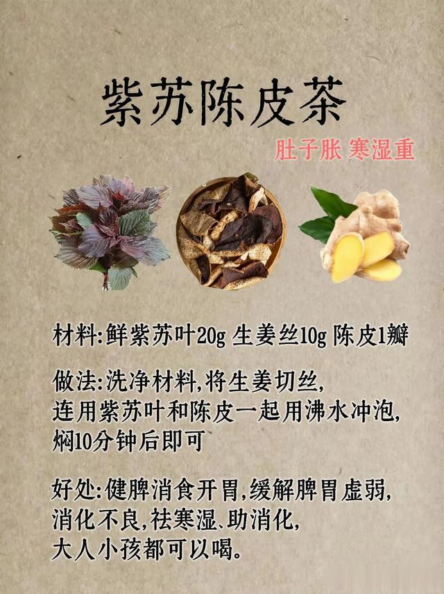 夏天养生最好的食材——紫苏，帮你赶走多年寒湿