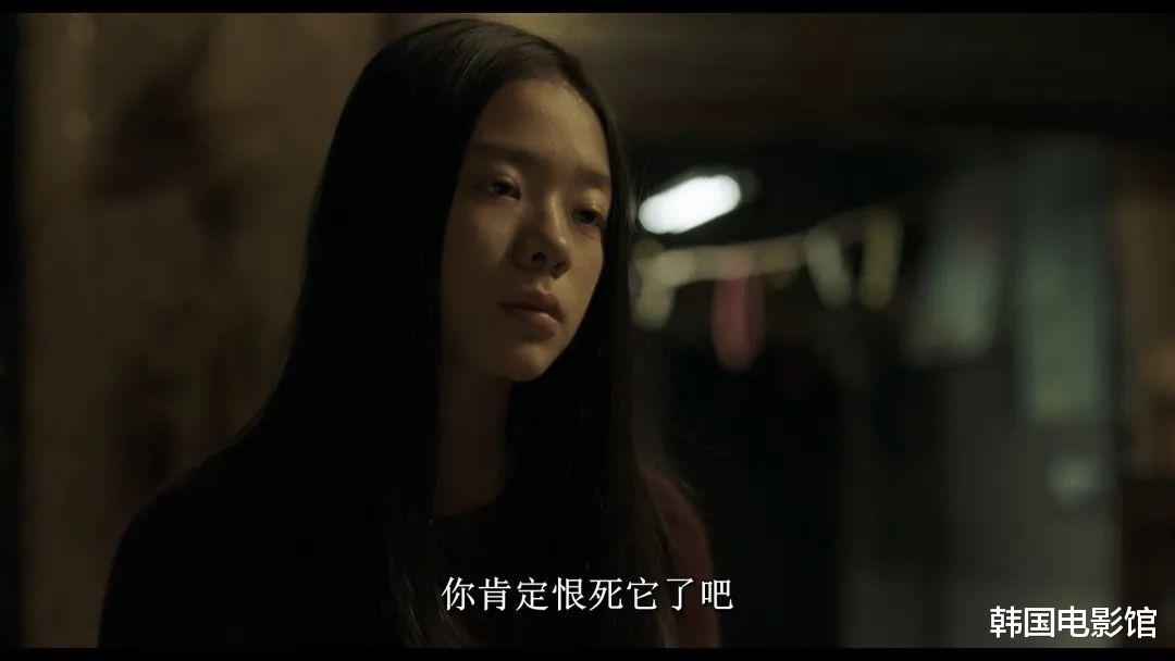 全程烧脑，这部韩国悬疑电影太猛啦！