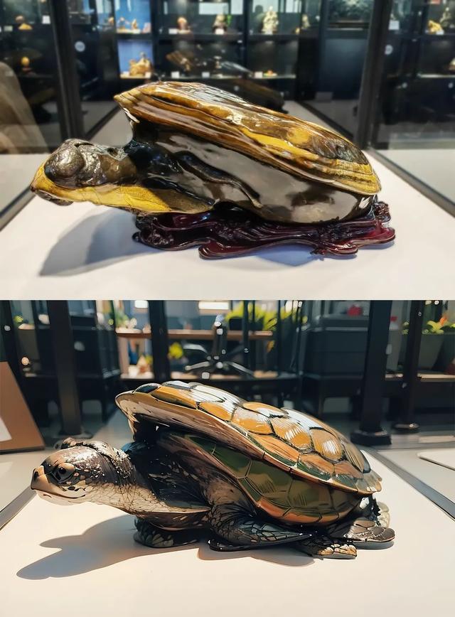像“海龟”的一块石头，义乌石展拿到最高奖！