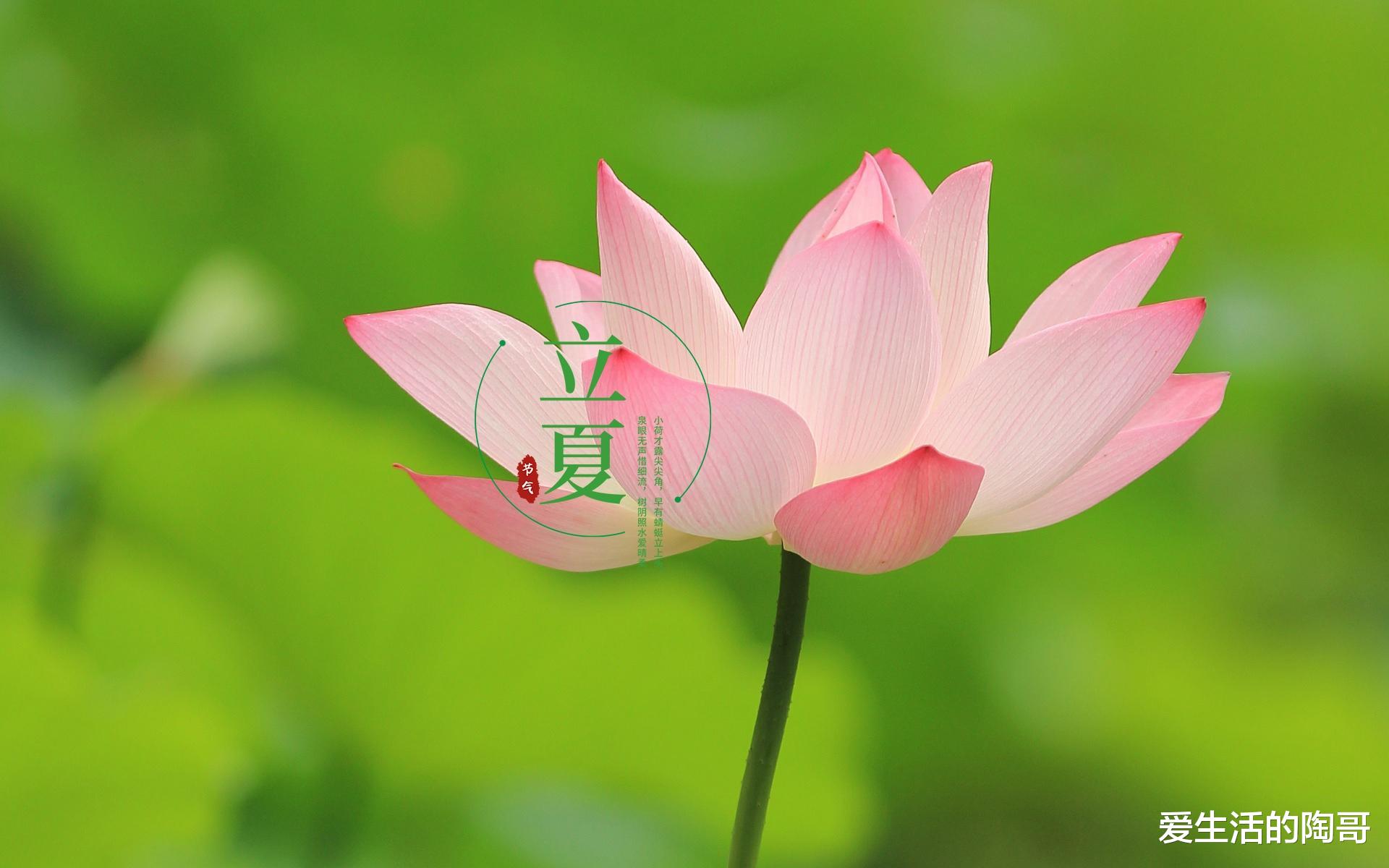 5月5日立夏,记得:吃2菜,食2果,喝2汤,做2事,应时节,乐过夏