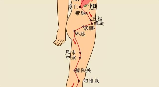 胆经堵,全身阻!1个动作2个穴,舒筋通络,改善头晕耳鸣