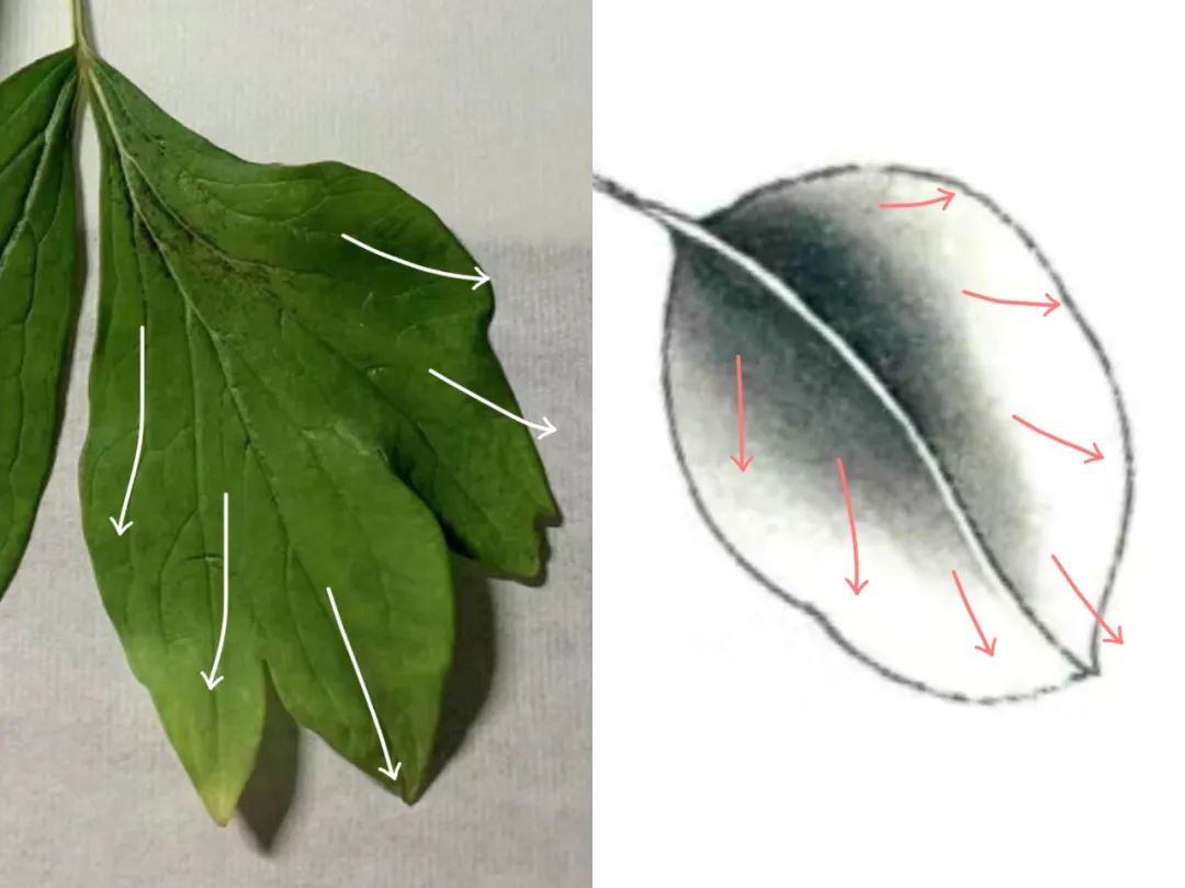 为了给奢牌站台从霸气红裙到情趣黑纱？这别又是第二个Lisa吧