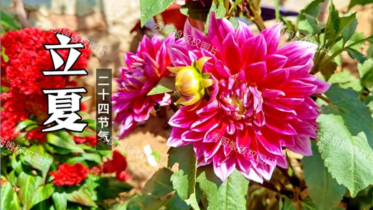 5月5日立夏，有钱没钱，牢记：吃4样，做1事，顺应节气，安康度夏