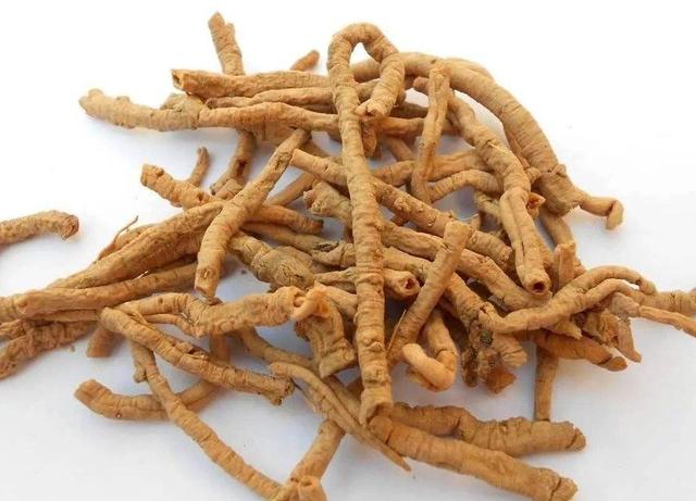 年过四十，下面起不来，上面记不住，一个中成药，提高记忆不困难