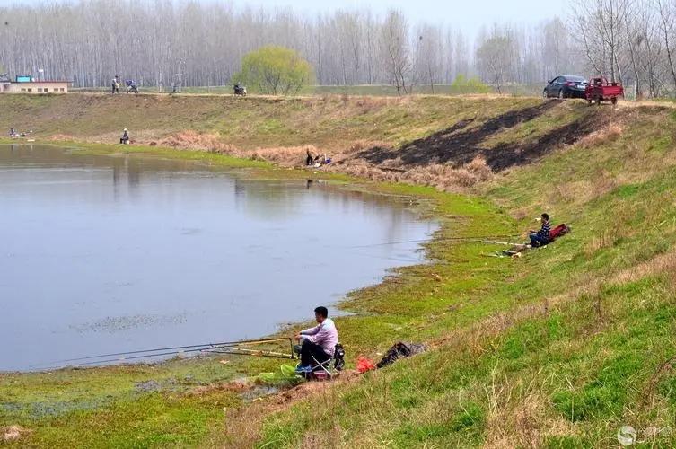 初春钓鱼时钓友们的五种做法，看起来很有道理，实则五个错误