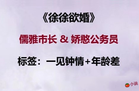 男主蓄谋已久婚爱文 |《徐徐欲婚》儒雅市长&娇憨公务员