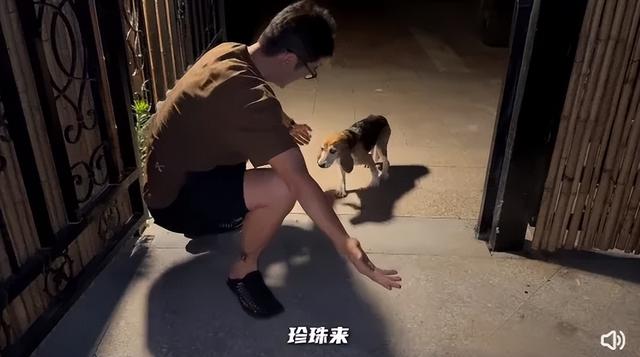 全网为杜江霍思燕一家颁发塌房豁免权,好小众的荣誉啊