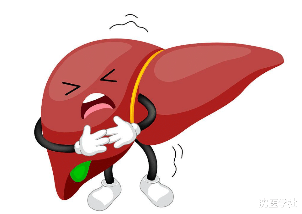 肝气一通，失眠无踪！3个药，疏肝、清肝、养肝！赶走失眠早醒