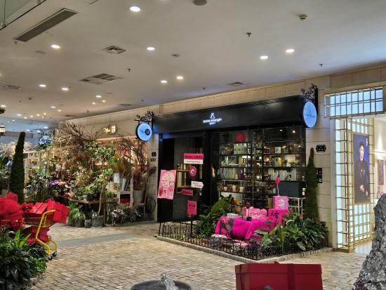 三星Galaxy Z Flip6评测:AI加持下的折叠屏未来已来