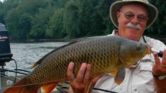 466万人民币大奖！野河里一条“标鱼”的价格，澳大利亚想干啥？