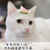 恒林聊世界