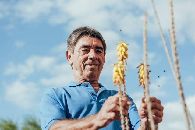 张仲景留下的千年古方,横扫一切“虚”症,40岁以后不妨多喝