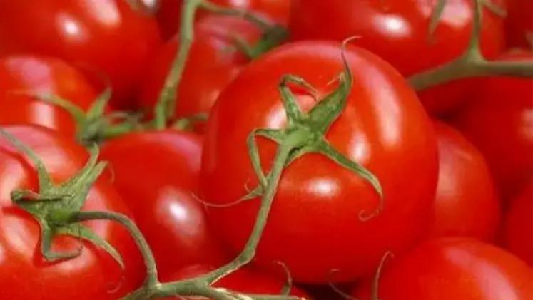 买西红柿时，遇到“这5种”再便宜也不能买，看完记得告诉家里人