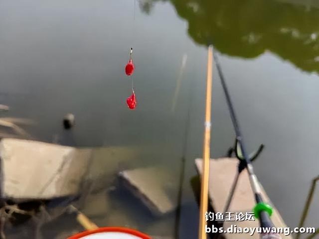 春钓浅滩，带包地狱猫就够了