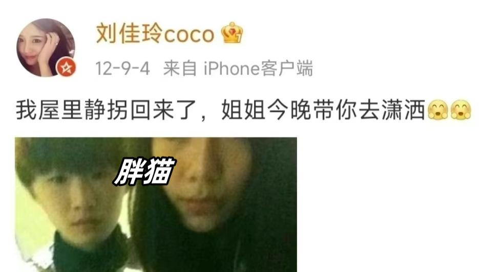 反转！胖猫口碑遭反噬，百万大V带头网暴，两件事曝其真实人品！