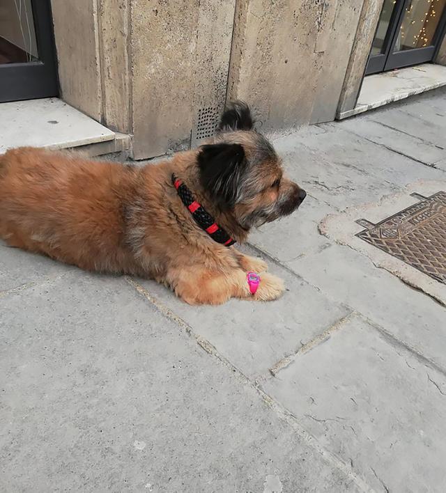 你不知道的21个意大利冷知识