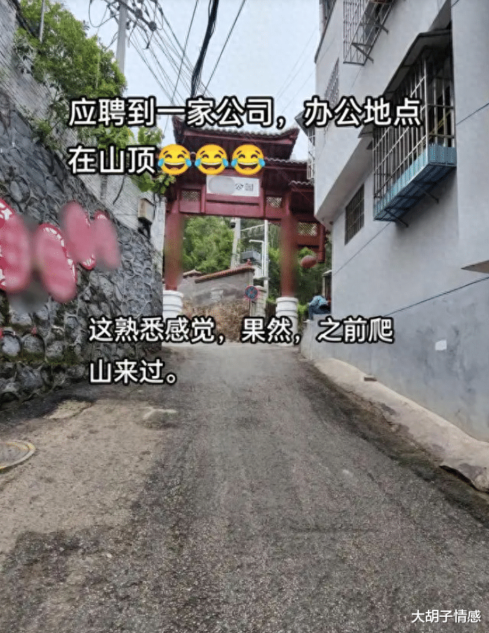 贵州：女子求职找到梦中情班！工位在山顶无人管，可追剧玩游戏！