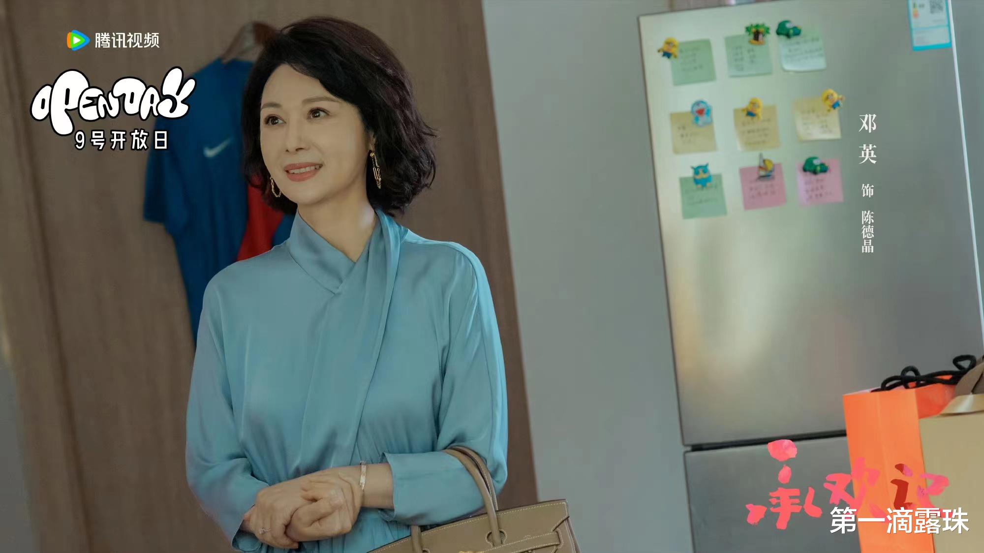 承欢记:胡丹丹饰演的辛家丽,对麦承欢辛家亮婚事,为何拼命反对