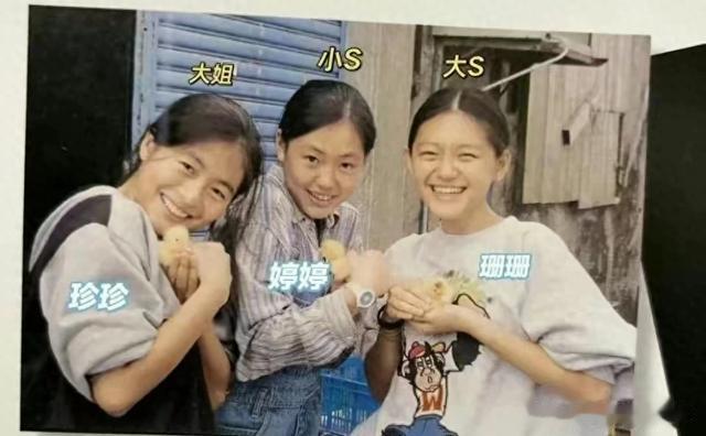 徐家姐妹：大姐居家、大S人美心狠、小S窝囊，老妈黄春梅绝非怂人