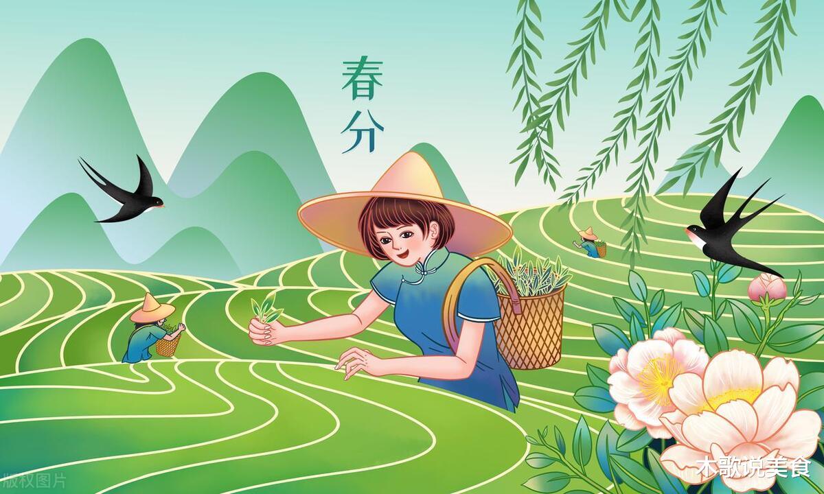 春分将至,别忘了吃这3种“春菜”,蛋白质高,鲜嫩可口,正当季