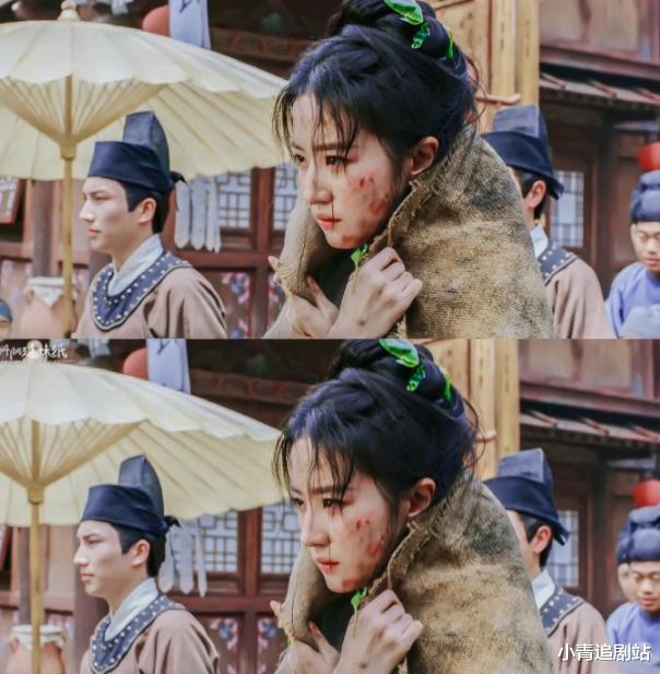 大女主经商“101”扑了一部又一部,我终于找到原因了!