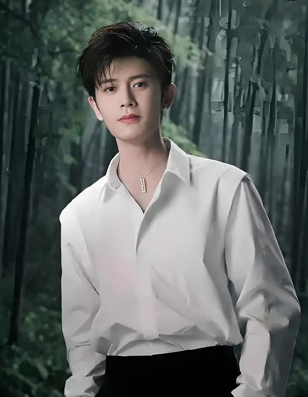 内娱最具商业价值男星,胡歌登顶,任嘉伦7成毅5王一博第3肖战第2