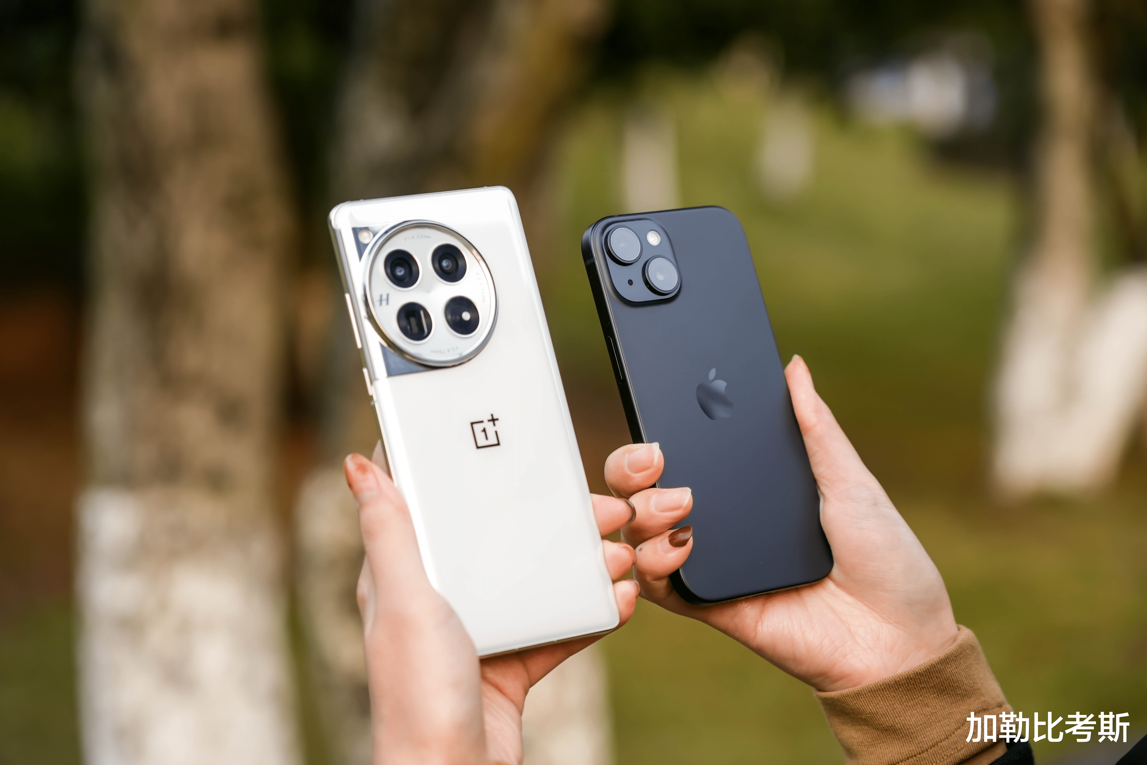 品牌痛哭,我们捡漏丨11.11瞒着也要买的5件好物,用了半年才敢推给大家