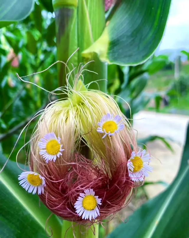 田野发型师\uD83D\uDE0D