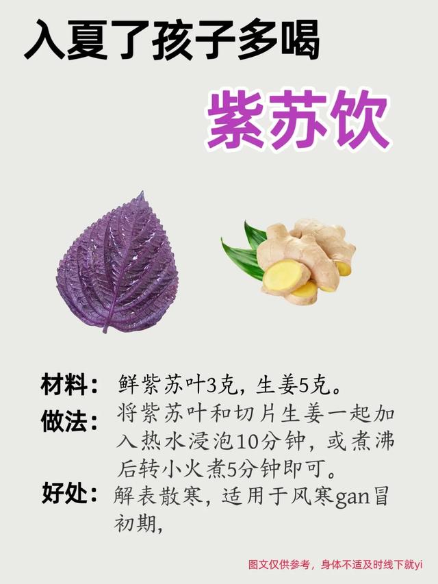 为什么紫苏被称为纯阳之草？夏日孩子多喝紫苏饮有奇效！
