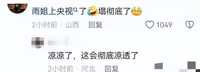 东北雨姐,硬控央视新闻频道20分钟,网友:佩斯再也不用点火了