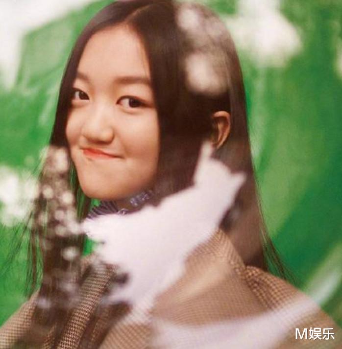 王菲女儿李嫣做第4次“兔唇”修复:照片公开大变样,美得很高级