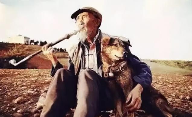 1993年老人带狗参演谢晋电影《老人与狗》,拍完人与狗皆惨遭枪毙