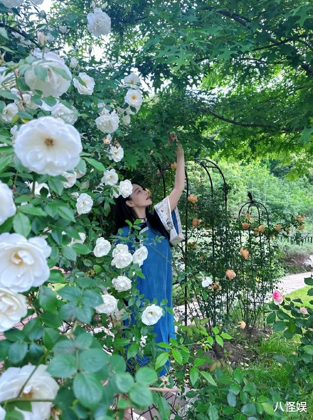 张馨予把自家院子打造成现实版莫奈花园,花海中拍照,姿势引热议