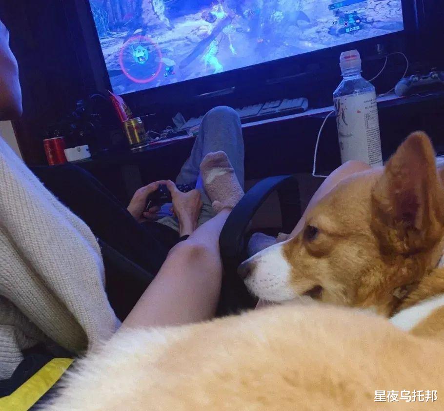 出轨又施暴，他一夜塌房，彻底凉凉