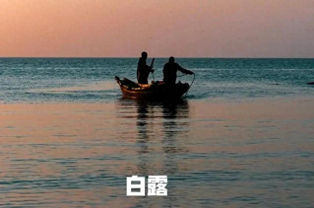 白露时节最补的鱼,不是鲅鱼和带鱼,而是这3种,刺少肉多别错过