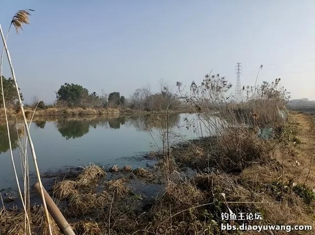 地狱猫野钓,鱼获真不孬