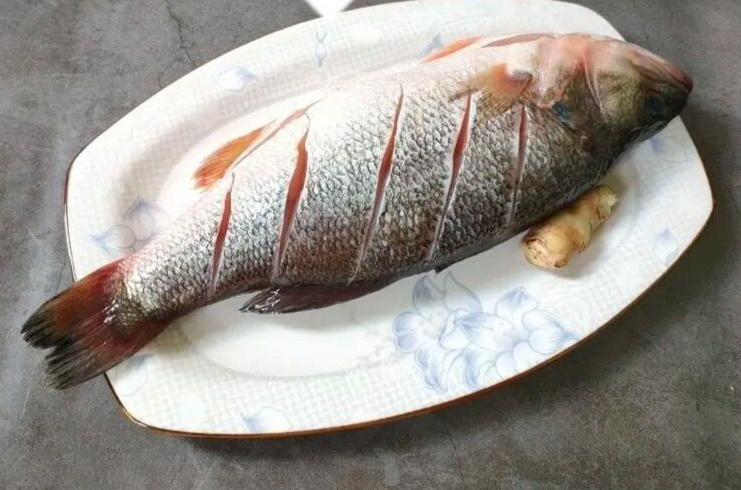 鲜嫩口感的清蒸鲈鱼，一口咬下春天的鲜美！