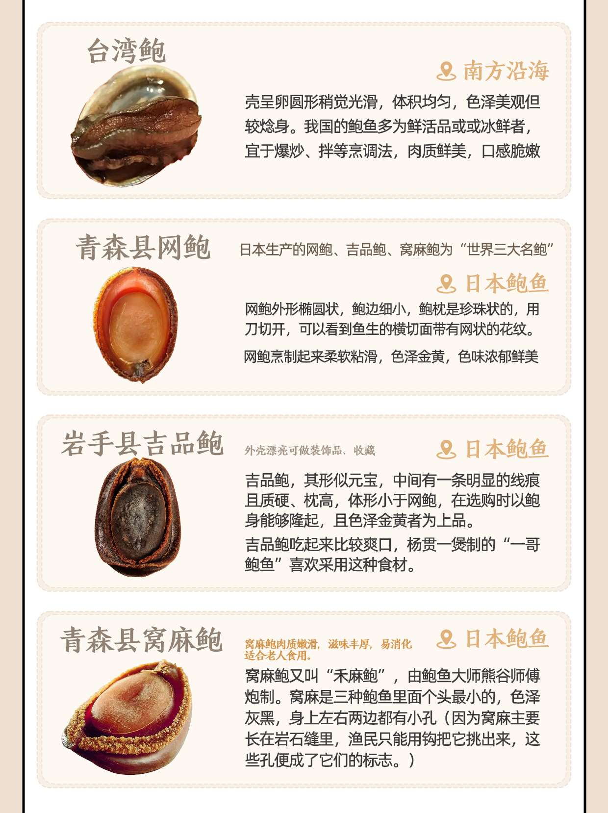 常见的鲍鱼种类大合集