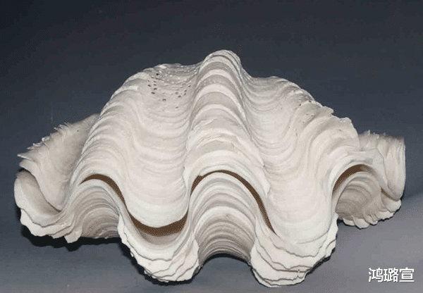 文玩界“大宝贝”你有么？没有就没机会了！