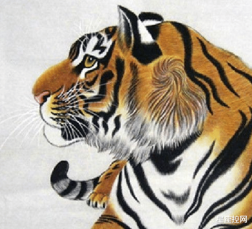 3月上旬，职场风生水起，生意收入倍增，总算翻身的生肖