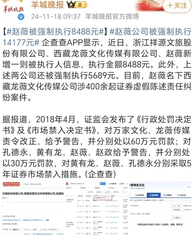 48岁赵薇近况：面容苍老身材臃肿，被强制执行8000余元成老赖